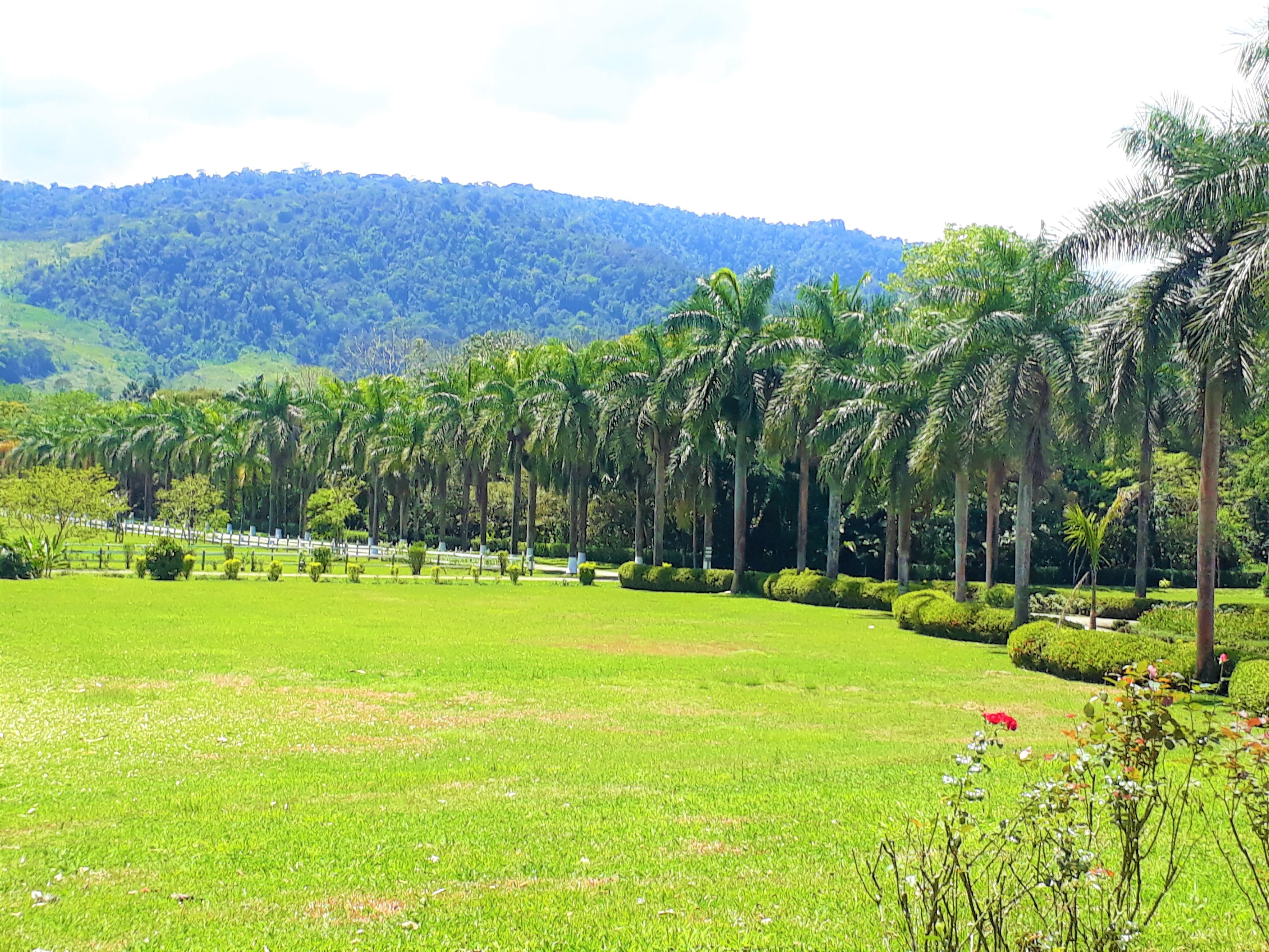 Hotel Casa Turire Turrialba Buitenkant foto